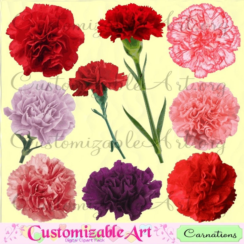Carnation Clipart Digital Carnation Clip Art Carnations Red Etsy