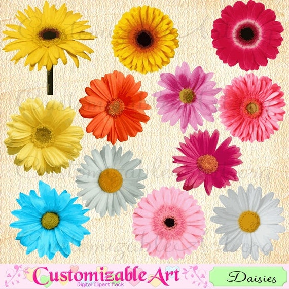 daisy clipart digital daisy