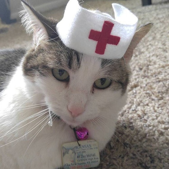 Nurse Retro Hat for Small Pet Cat Dog Hedgehog Vogue Guinea Etsy