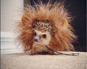 Lion dark mane halloween costume for small pet Hedgehog Vogue Guinea Pig Ferret small animals made by Pinkismart