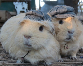 Newsboy Cap  for small pet Hedgehog Vogue Guinea Pig Mini pig Ferret herringbone small animals Cat Dog Puppy Pinkismart