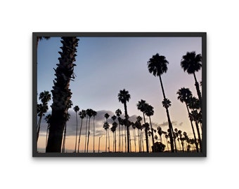 Palm Tree Art, Sunset Digital Download, Digital Print, Decor, Santa Barbara, Photography
