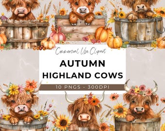 Clipart de vacas de las Tierras Altas de Otoño - 10 PNG transparente - Descarga instantánea - Vaca de las Tierras Altas Bebé - Animal lindo - Artesanías de otoño - Calabazas - Floral