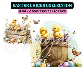 10 PNG - Easter Chick Clipart - Digital Download - Easter Crafts - Card Making - Cute Animal - Easter Egg - Rustic - Easter Decoration Idea