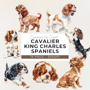 Cavalier King Charles Clipart - 15 PNG - Transparente - Download digital - Design - Clipart de cachorro - Amante de cachorro - POD Design - Artesanato