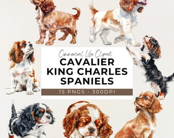 Cavalier King Charles Clipart - 15 PNG - Transparent - Digital Download - Design - Dog Clipart - Dog Lover - POD Design - Crafting
