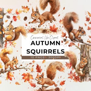 Automne écureuils Clipart - 10 PNG transparents - animaux d'automne mignons - animaux de la forêt - pomme de pin - animal mignon - automne - scrapbooking