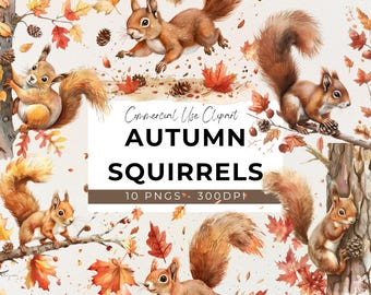 Könnte beinhalten: Ein Set mit 10 digitalen Illustrationen von Eichhörnchen in Herbstfarben. Die Eichhörnchen sind in verschiedenen Posen dargestellt, darunter beim Laufen, Sitzen und Klettern. Die Illustrationen sind vor einem Hintergrund aus Herbstlaub und Tannenzapfen platziert.  Commercial Use Clipart AUTUMN SQUIRRELS 10 PNGS - 300DPI