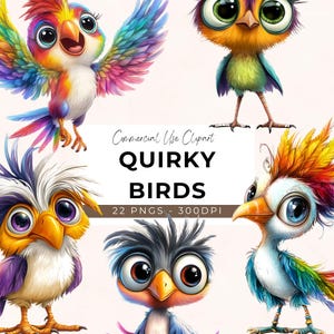 Quirky Bird Clipart - 22 Transparent PNG - Instant Download - Funny Bird Graphics - Funny Animal Clipart - Scrapbooking - Craft - Whimsical