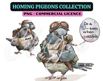 10 PNG - Funny homing pigeons - Transparent - Digital Download - Design - Digital Craft - Card Making - POD - Cute Animal, Funny, pigeons