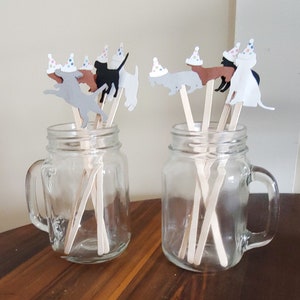 Dog or Cat Birthday Drink Stirrers