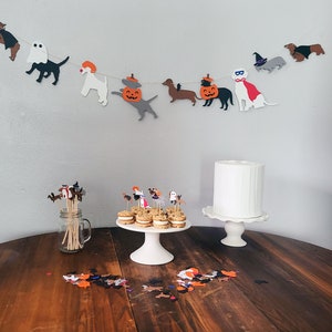 Halloween Dog or Cat Party Kit