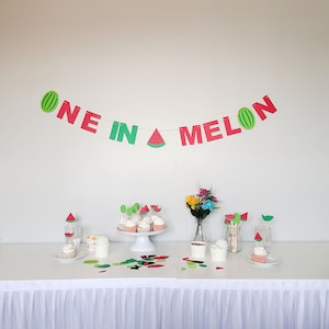 One in a Melon Party Kit