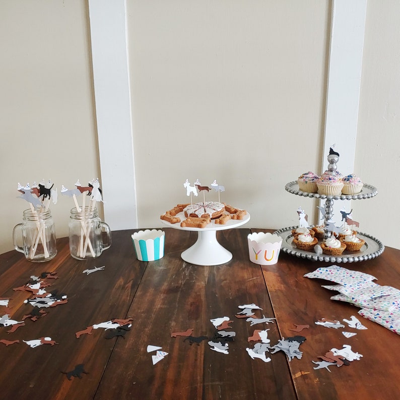 Dog or Cat Birthday Party Kit  Dog or Cat Birthday Garland image 7