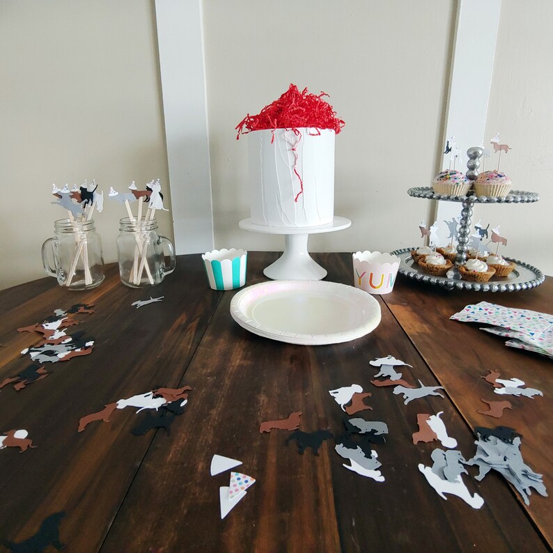 Dog or Cat Birthday Party Kit  Dog or Cat Birthday Garland image 8