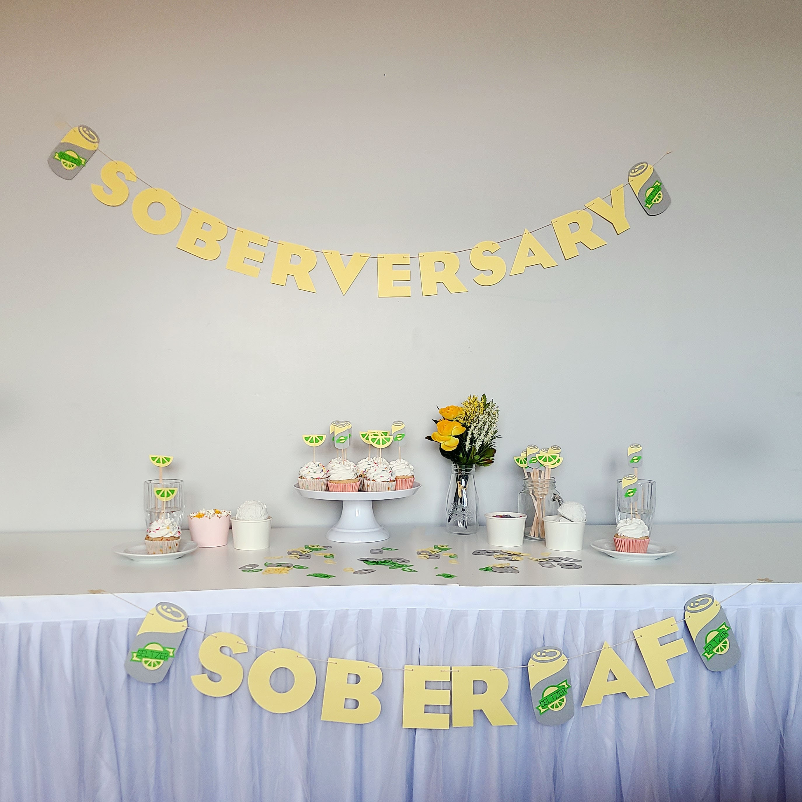 Seltzer Party Kit | Soberversary Party Kit | Sober AF Party Kit