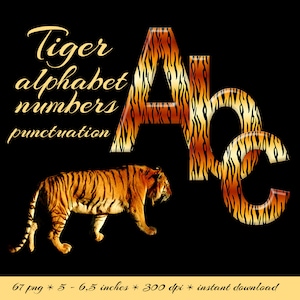 Tiger fur pattern alphabet clipart, digital animal print font, capital and small letters, numbers and punctuation for commercial use image 1