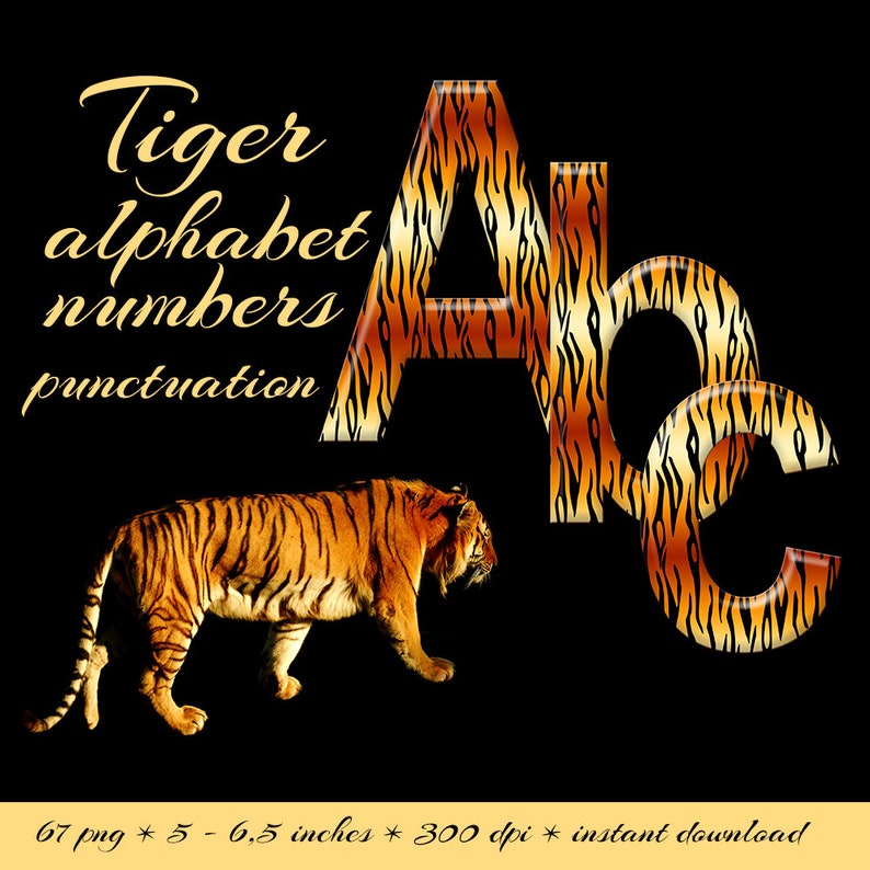 Tiger fur pattern alphabet clipart, digital animal print font, capital and small letters, numbers and punctuation for commercial use image 1