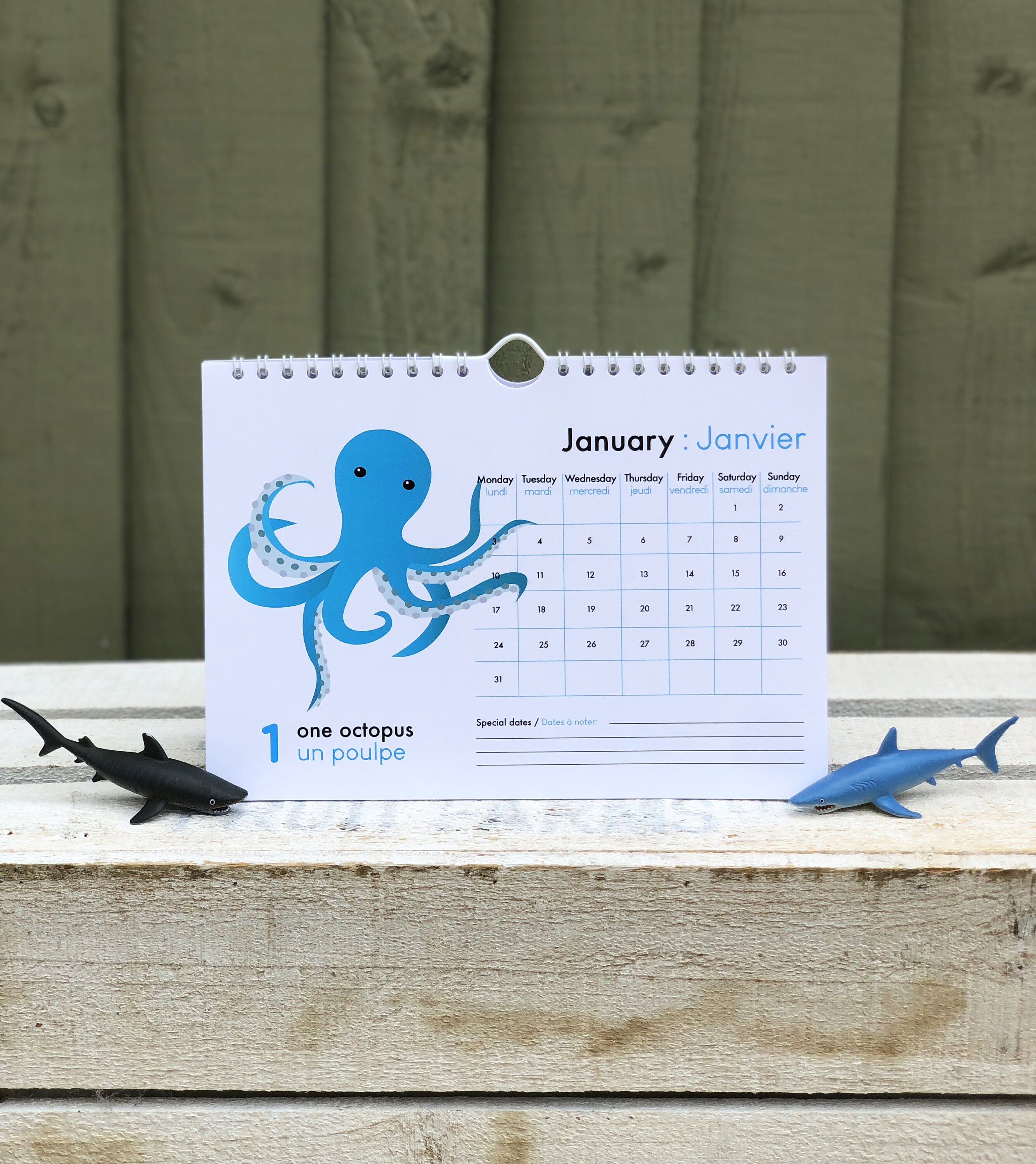 2022 calendar ocean animals ocean sea animals marine life Etsy