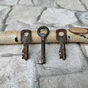 Rustic Skeleton Keys - Set of 3 - Steampunk Farmhouse Decor