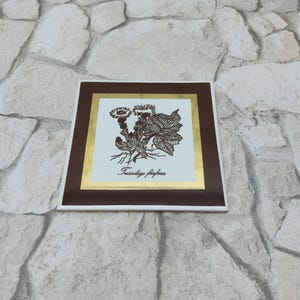 May include: A brown and gold framed plaque with a black and white illustration of a plant with the text "Tussilago farfara" on a white background.