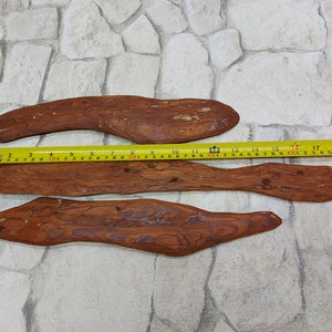 3 pieces Pine tree barks - bark, natural wood tree bark for terrarium or handicrafts Wedding Decor Free shipping with tracking Holiday decor