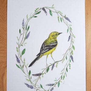 Original bird watercolour painting unframed image 2