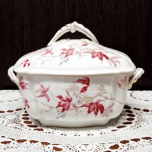 1900s Antique Limoges Porcelain Soup Tureen: Floral Lidded Tureen, A. Hache & Co. France