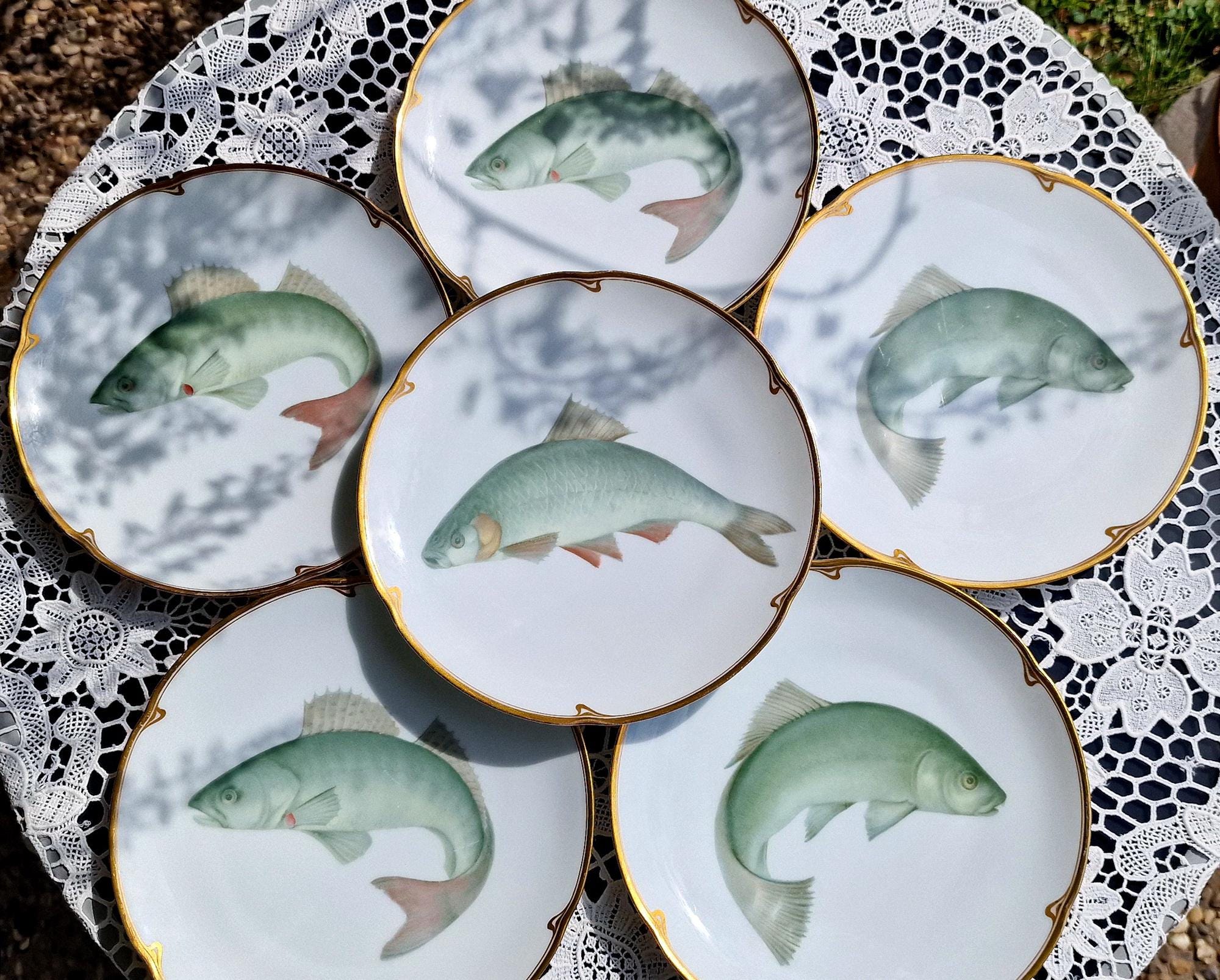Lot De 7 Plats En Porcelaine Thomas - Service De Table Blanc - Neuf