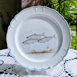 Jaren 70 Limoges handgeschilderd visbord #6: Frans porseleinen dinerbord met zeemotief (24,5 cm)