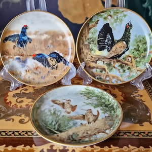 Vintage Alboth & Kaiser Porcelain Coasters Set of 3: 1970s Flugwild Bird Plates, 10cm