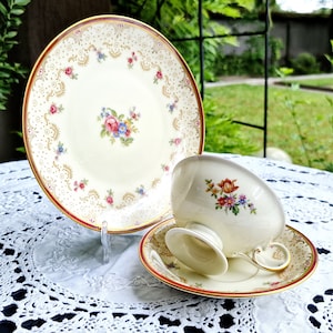1950s Furstenberg Teacup Trio: German Ivory China, Hand-Painted Finishing 150ml
