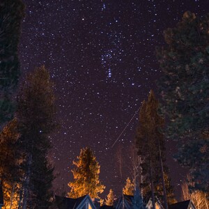 May include: A nighttime landscape featuring a dark purple sky filled with stars. Silhouetted trees frame a row of houses with lit windows. The scene evokes a sense of tranquility and the beauty of nature.
