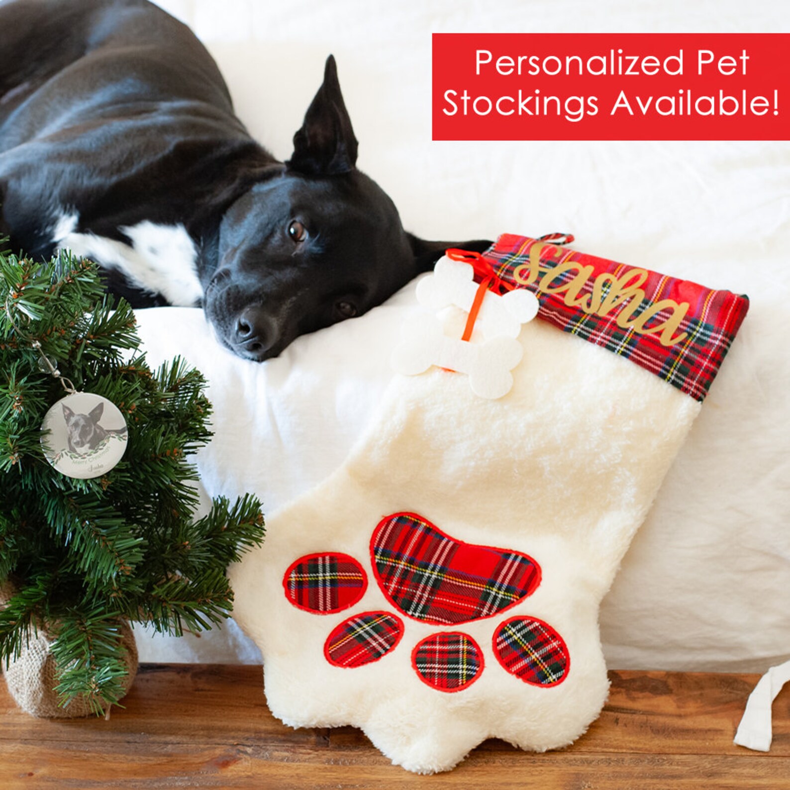 Star Shape Personalised Cat & All Pets Christmas Ornament