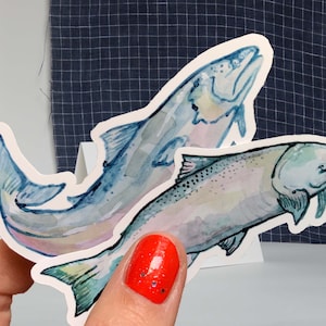 2 Fish Vinyl Stickers Set, laptop or water bottle sticker, from watercolour painting, waterproof decal, aquatic stickers, fish stickers