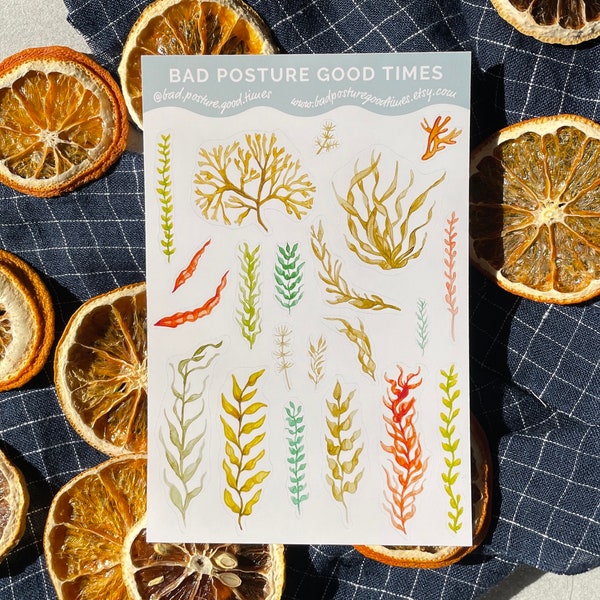 Seaweed and Kelp Sticker Sheet, 21 Kelp and Seaweed Stickers, Planner & Bullet Journaling Stickers, Watercolour Stickers, Bull Kelp, Ocean