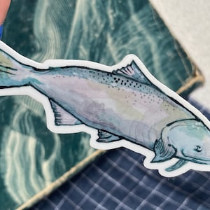 Fish Vinyl Sticker, laptop or water bottle sticker, from watercolour painting, waterproof decal, aquatic stickers, fish stickers