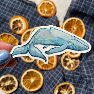 Autocollant de baleine en vinyle - Imperméable à l’eau et durable, autocollant Die Cut Blue Ocean - parfait pour une bouteille d’eau ou un ordinateur portable. Emballage sans plastique