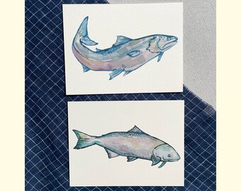 Può includere: Due acquerelli di pesci salmone su carta bianca. Il dipinto superiore mostra un salmone con la coda rivolta verso il lato sinistro dell'immagine. Il dipinto inferiore mostra un salmone con la coda rivolta verso il lato destro dell'immagine.