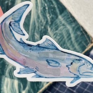 Fisch Vinyl Aufkleber, Lachs, Laptop oder Wasserflasche Aufkleber, von Aquarellmalerei, wasserfester Aufkleber, Wasseraufkleber, Fischaufkleber
