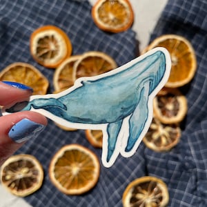 Whale Vinyl Sticker - Imperméable à l’eau et durable, Die Cut Blue Ocean Sticker - parfait pour une bouteille d’eau ou un ordinateur portable. Emballage sans plastique