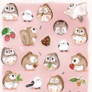Flying Squirrel Stickers - Sugar Glider Stickers - Japanese Stickers
