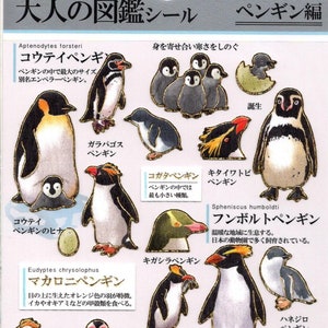 Stickers Pingouin - Stickers Papier - Kamio Stickers