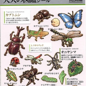 Stickers insectes - Stickers papier - Kamio Stickers
