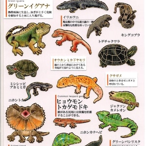 Reptilien Sticker - Eidechsen Sticker - Papier Sticker - Kamio Sticker