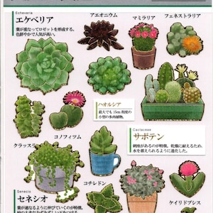Pegatinas de cactus - Pegatinas de papel - Pegatinas Kamio