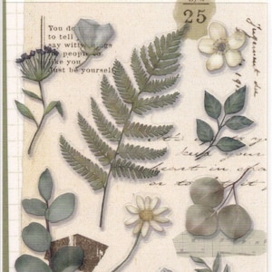 DOS HOJAS - Pegatinas de plantas - Pegatinas botánicas - Hoja de pegatinas para diario