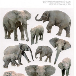 Pegatinas de elefante - La Dolce Vita - Pegatinas de ondas mentales