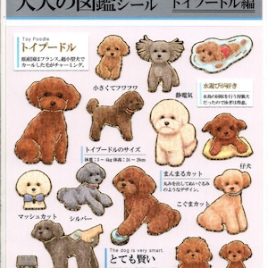Stickers caniche toy - Stickers chiens - Stickers papier - Kamio Stickers