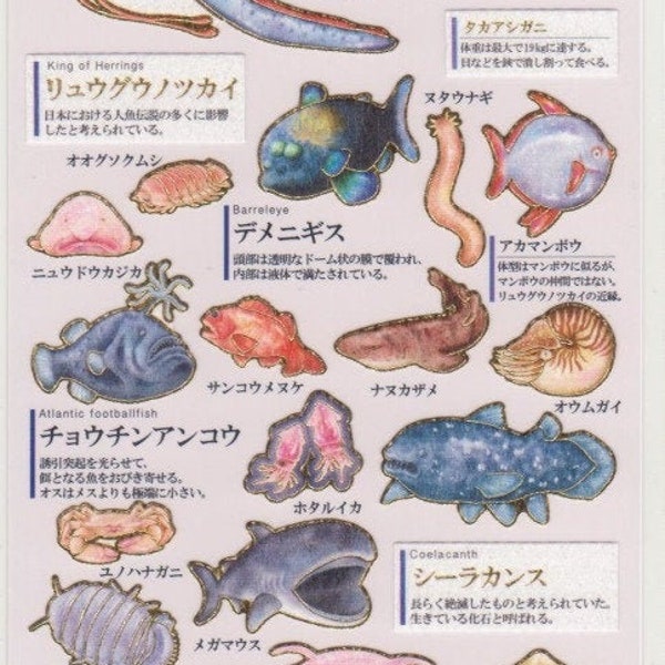 Deep Sea Stickers - Ocean Stickers - Paper Stickers - Kamio - Reference #A9448
